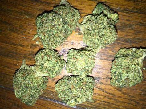 gold kush strain reviews.